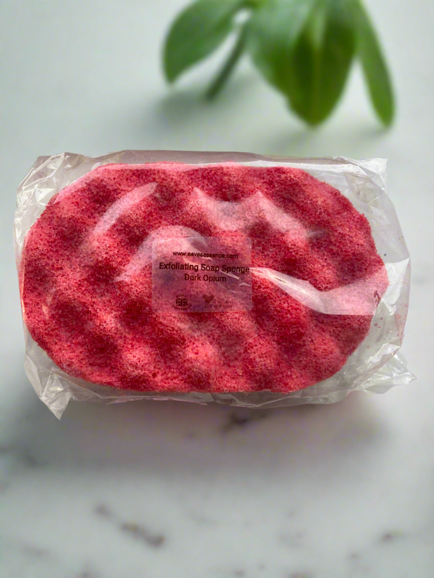 Exfoliating Soapy Sponge