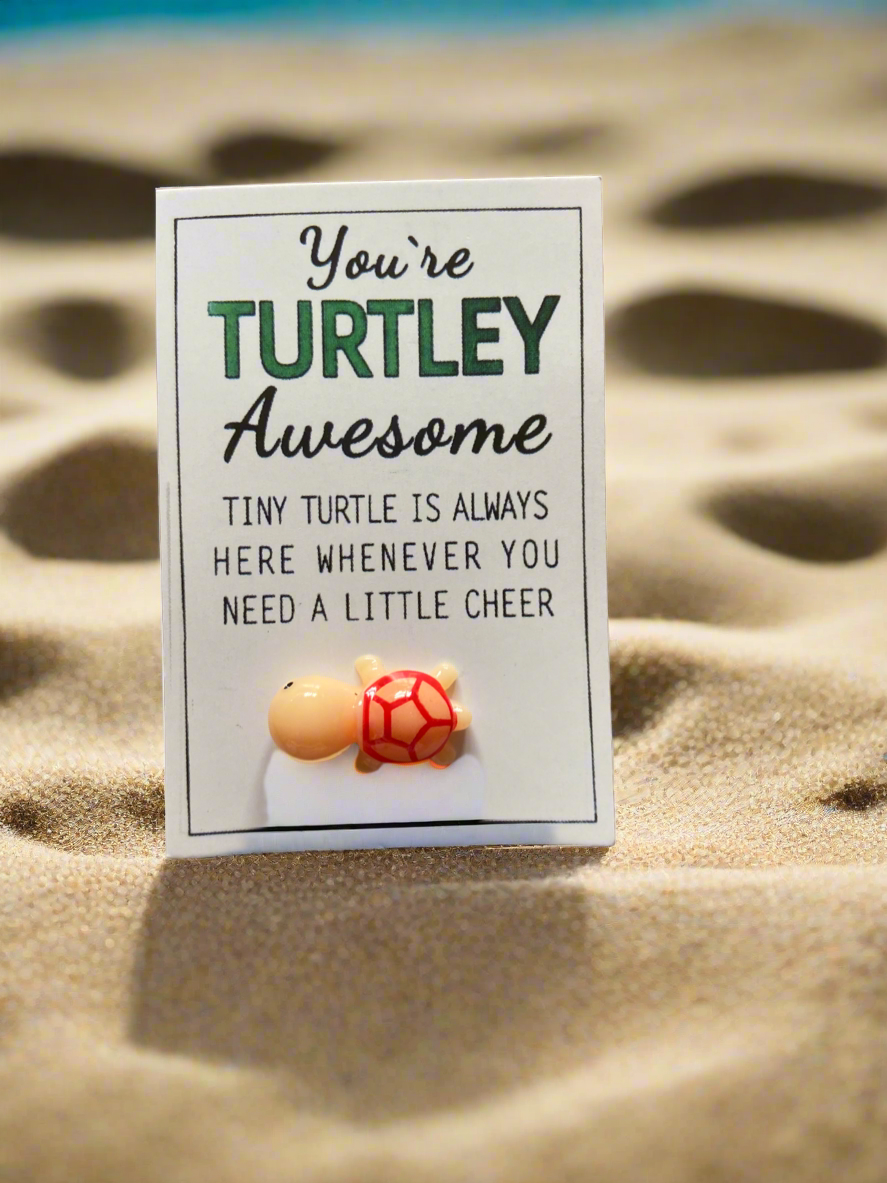 You’re Turtley Awesome. Turtle Pocket Hug