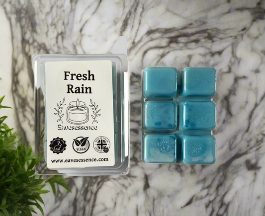 🌧️ Fresh Rain Wax Melts

Vegan • Pet Safe • Cruelty-Free • Handmade Luxury