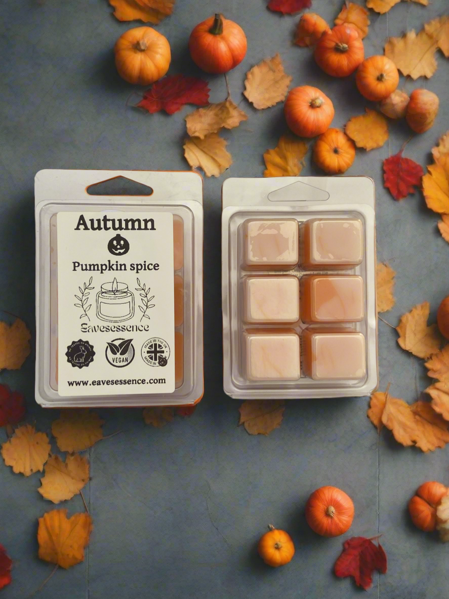 Pumpkin Spice - Wax Melts 50g