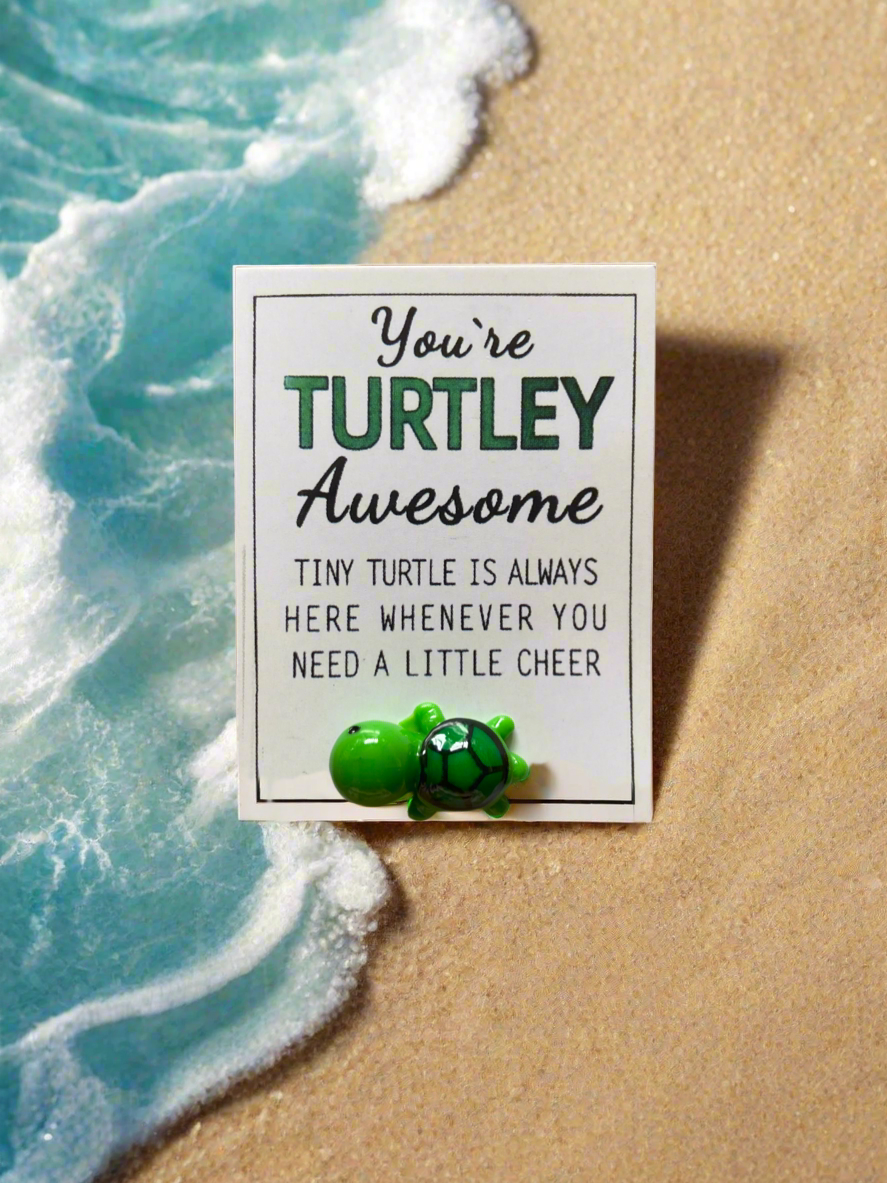 You’re Turtley Awesome. Turtle Pocket Hug