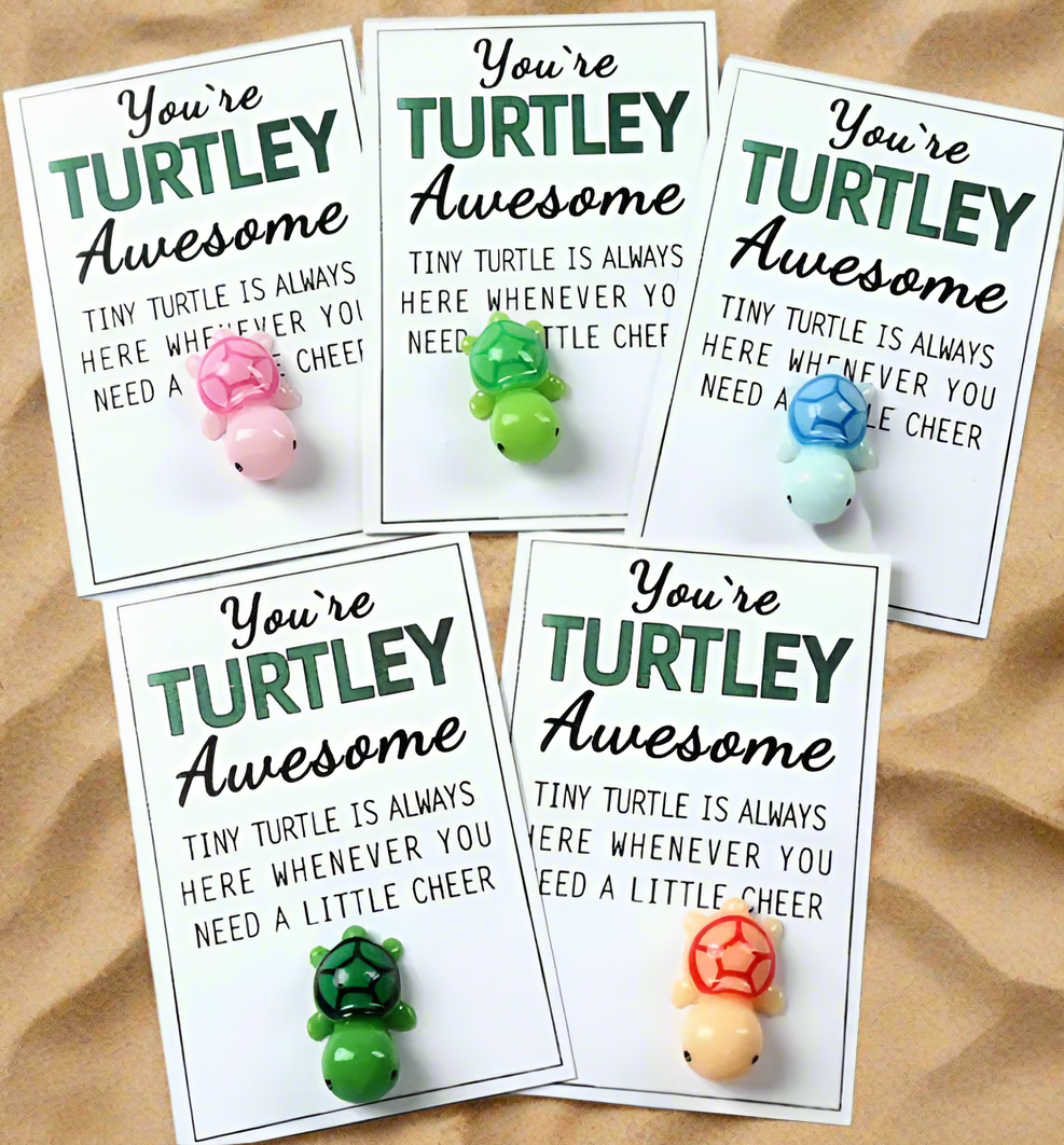 You’re Turtley Awesome. Turtle Pocket Hug