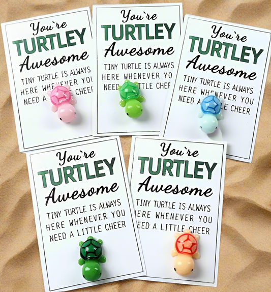 You’re Turtley Awesome. Turtle Pocket Hug