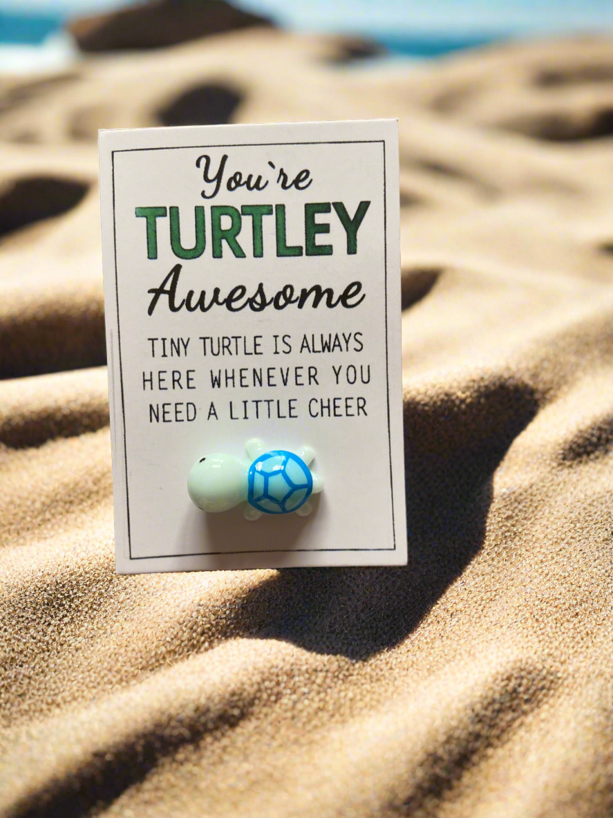 You’re Turtley Awesome. Turtle Pocket Hug