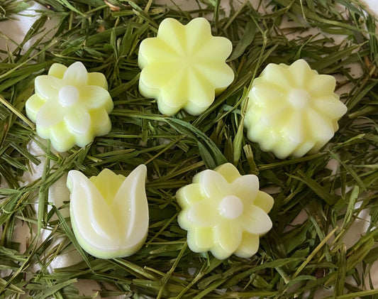 Daffodil and Vanilla Wax Melts